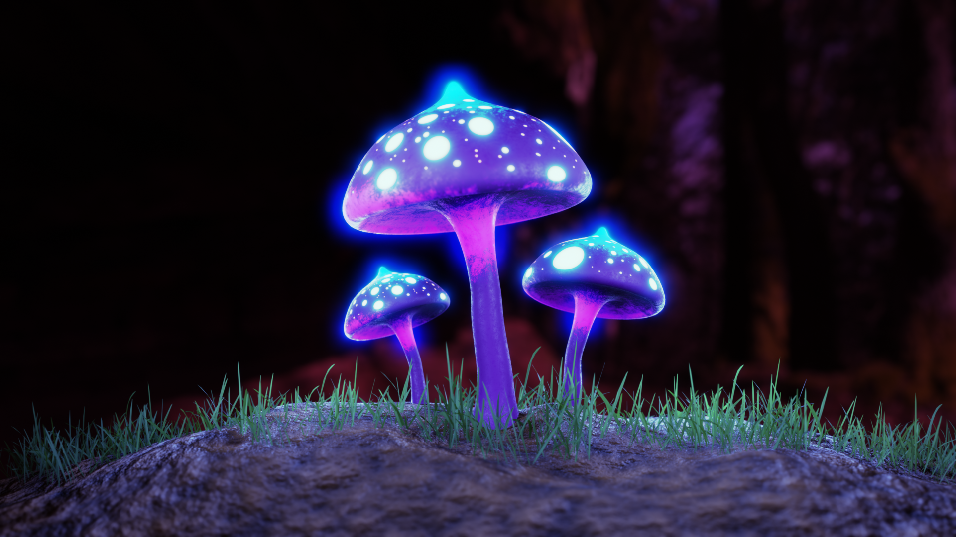 mushroom02_01