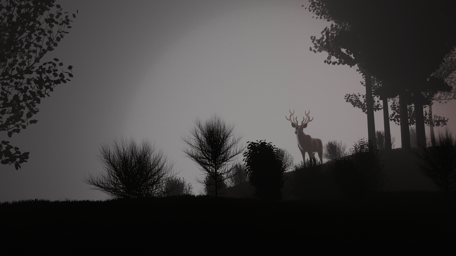 deer2