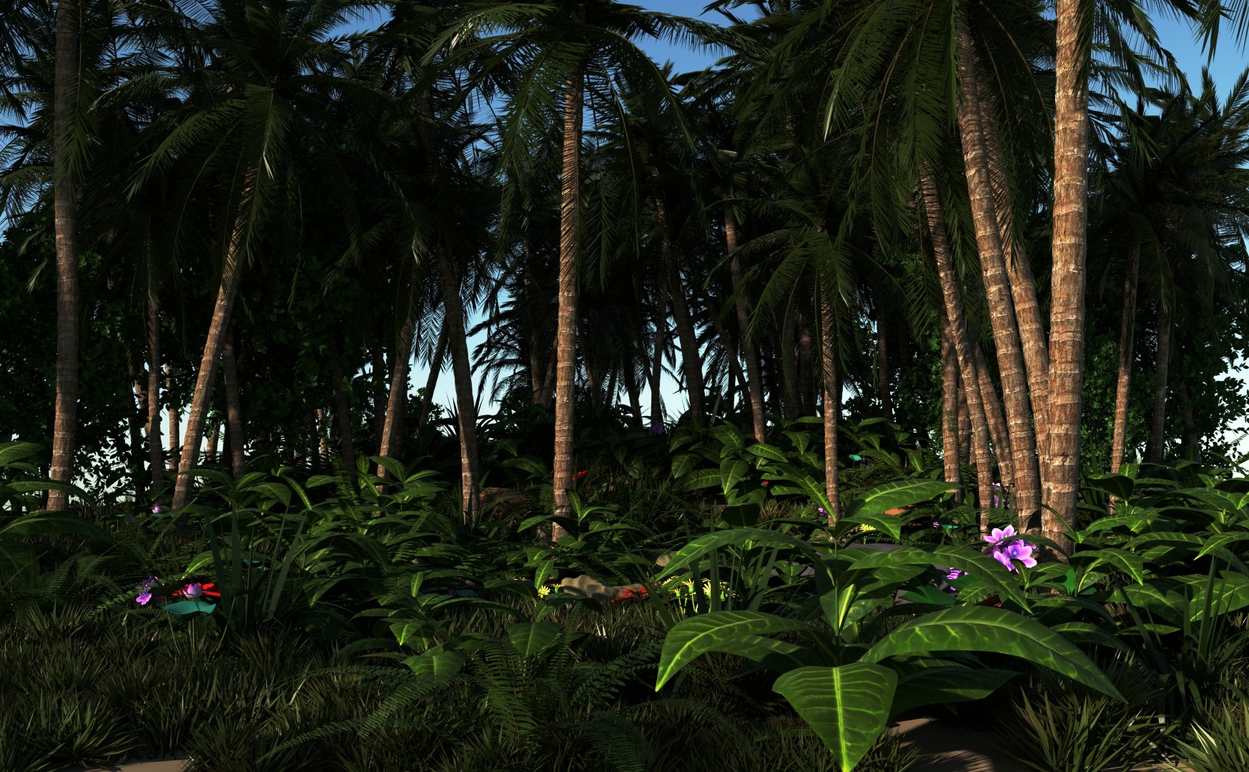 tropical_forest1