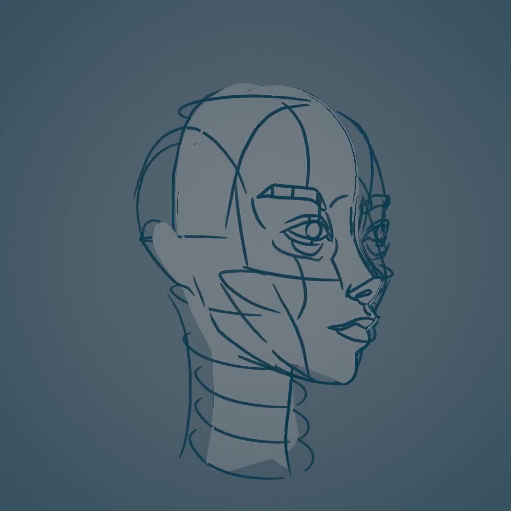 3dheadsketch0001-0200