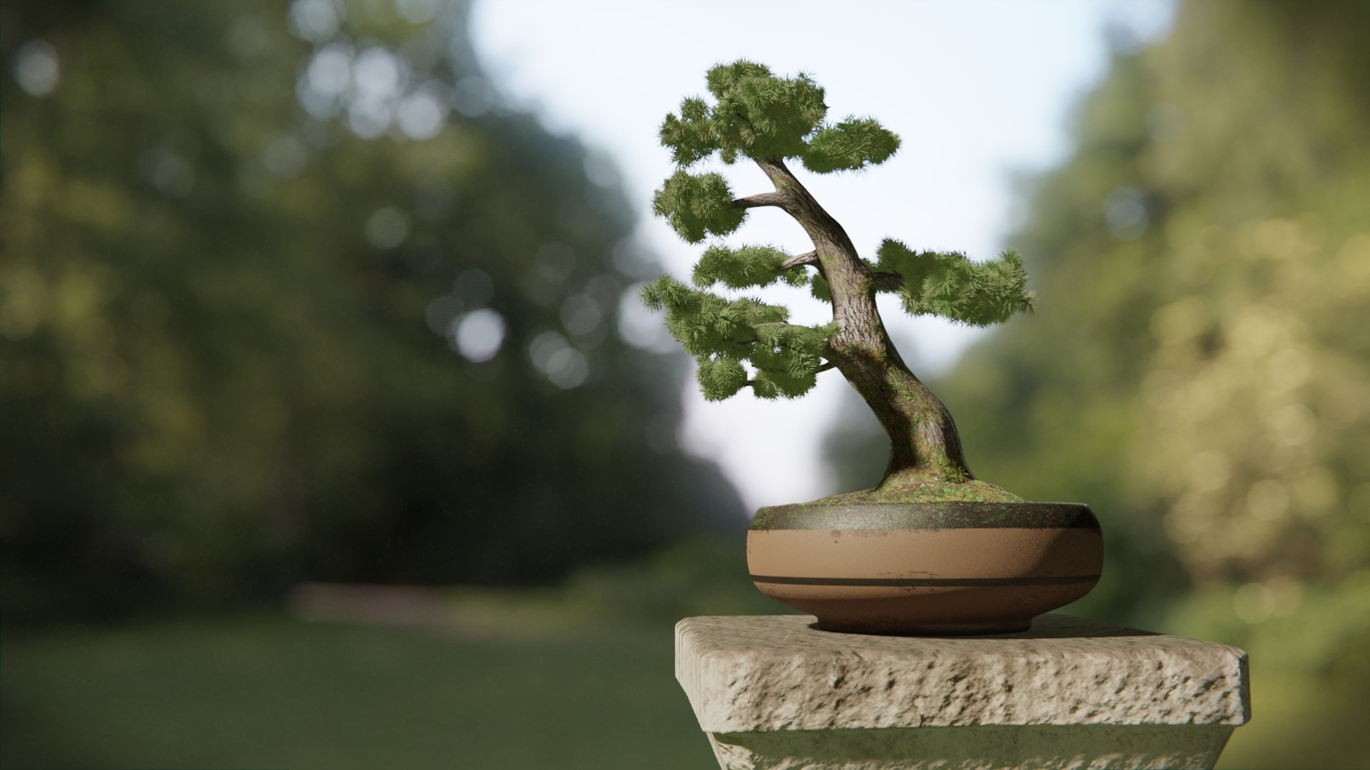 bonsai_final